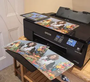 Printers that print on vinyl 